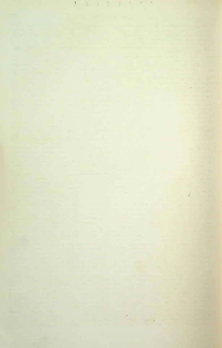 Страница 473