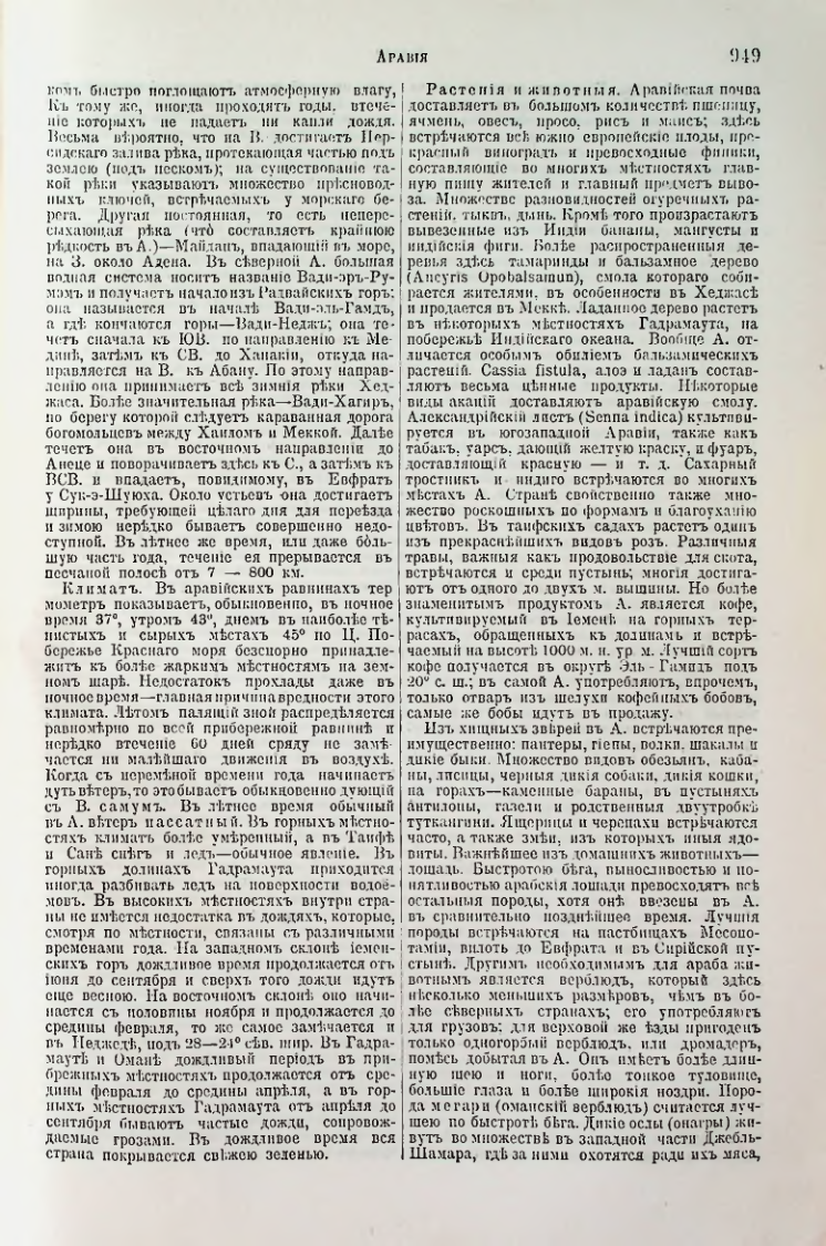 Страница 484