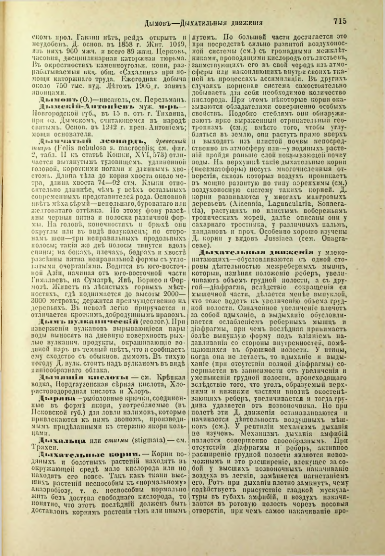 Страница 242