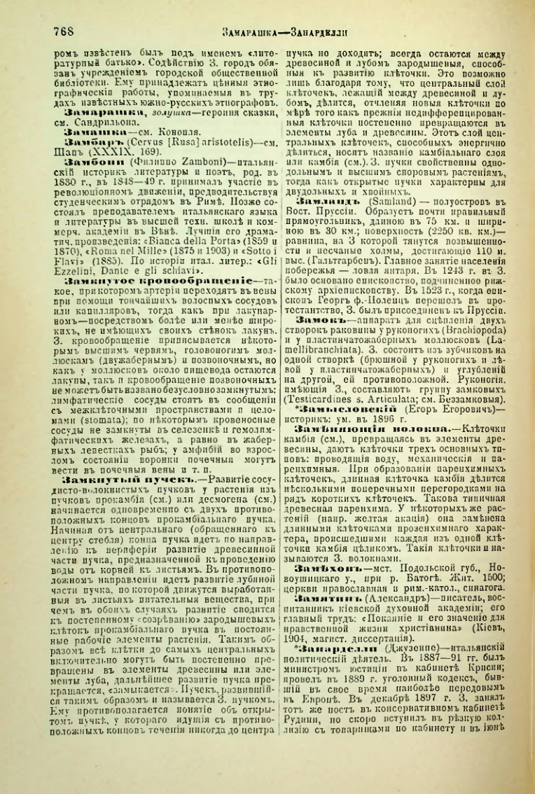 Страница 295