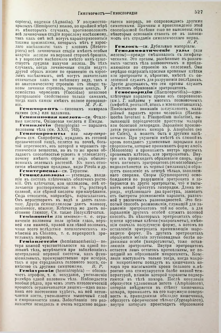 Страница 53
