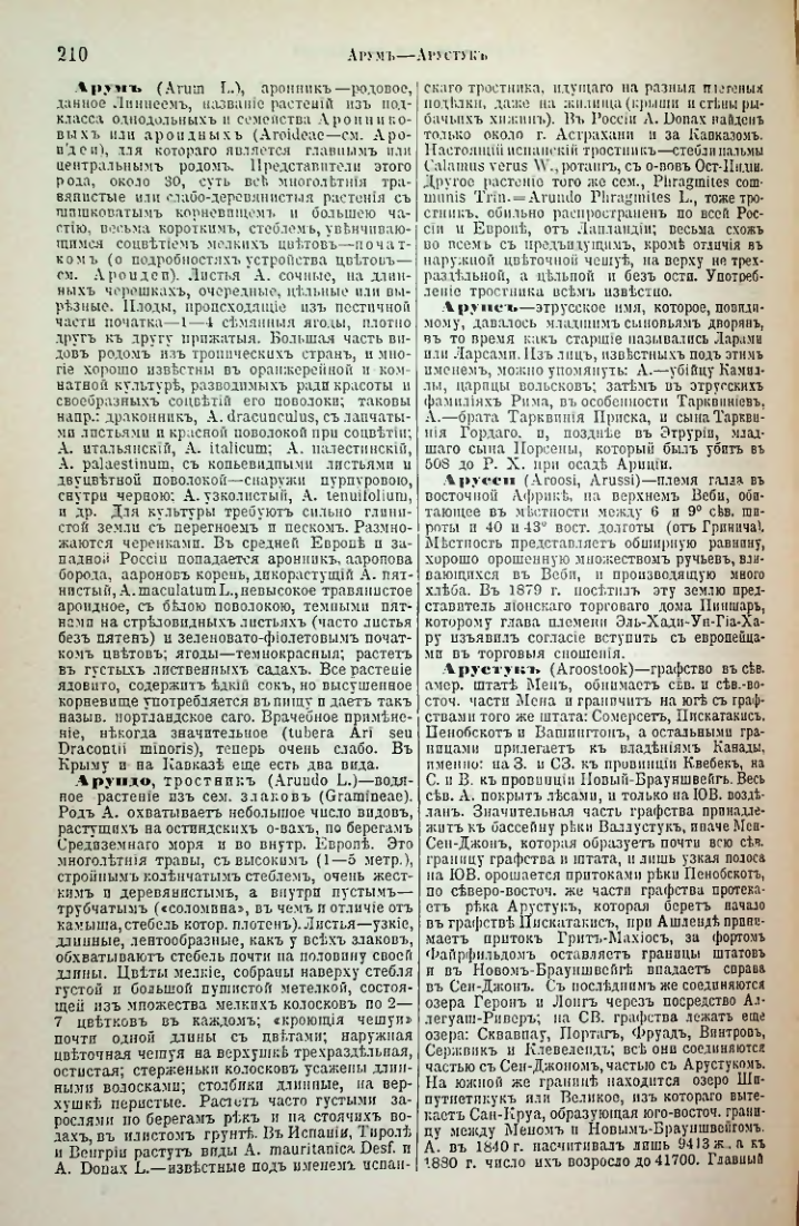 Страница 216
