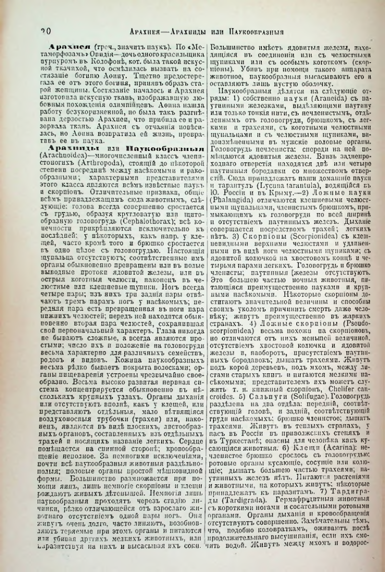 Страница 25