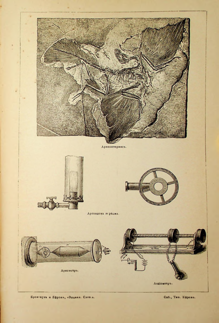 Страница 261