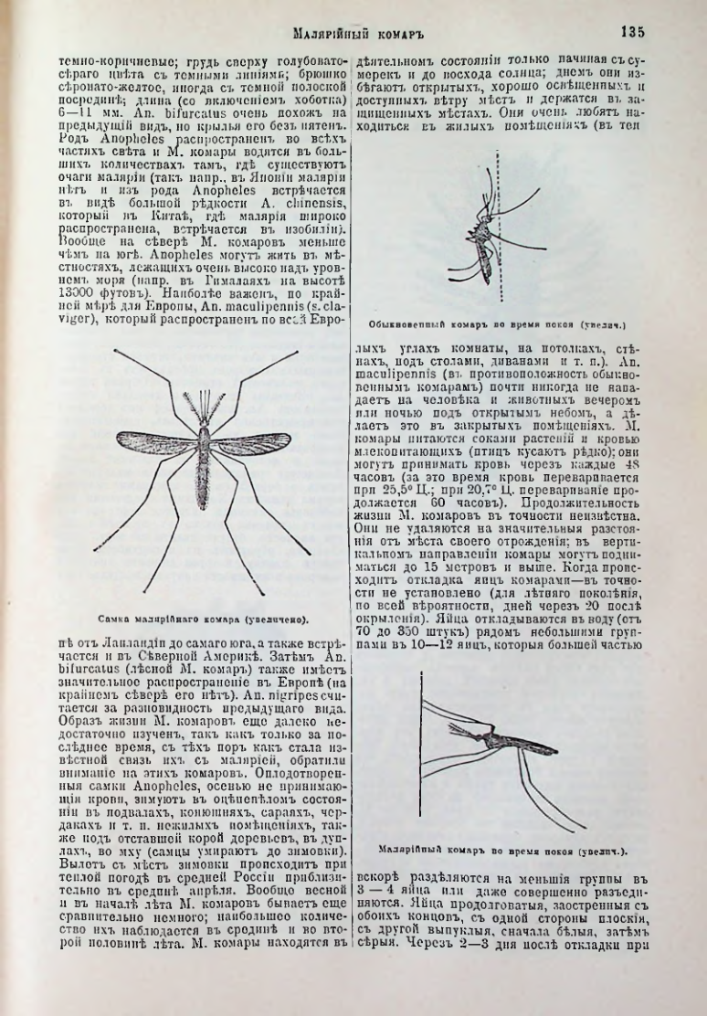 Страница 141