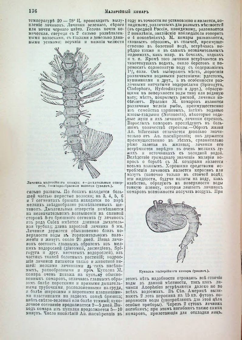 Страница 142