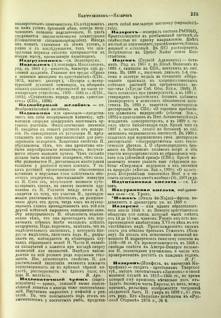 Страница 242