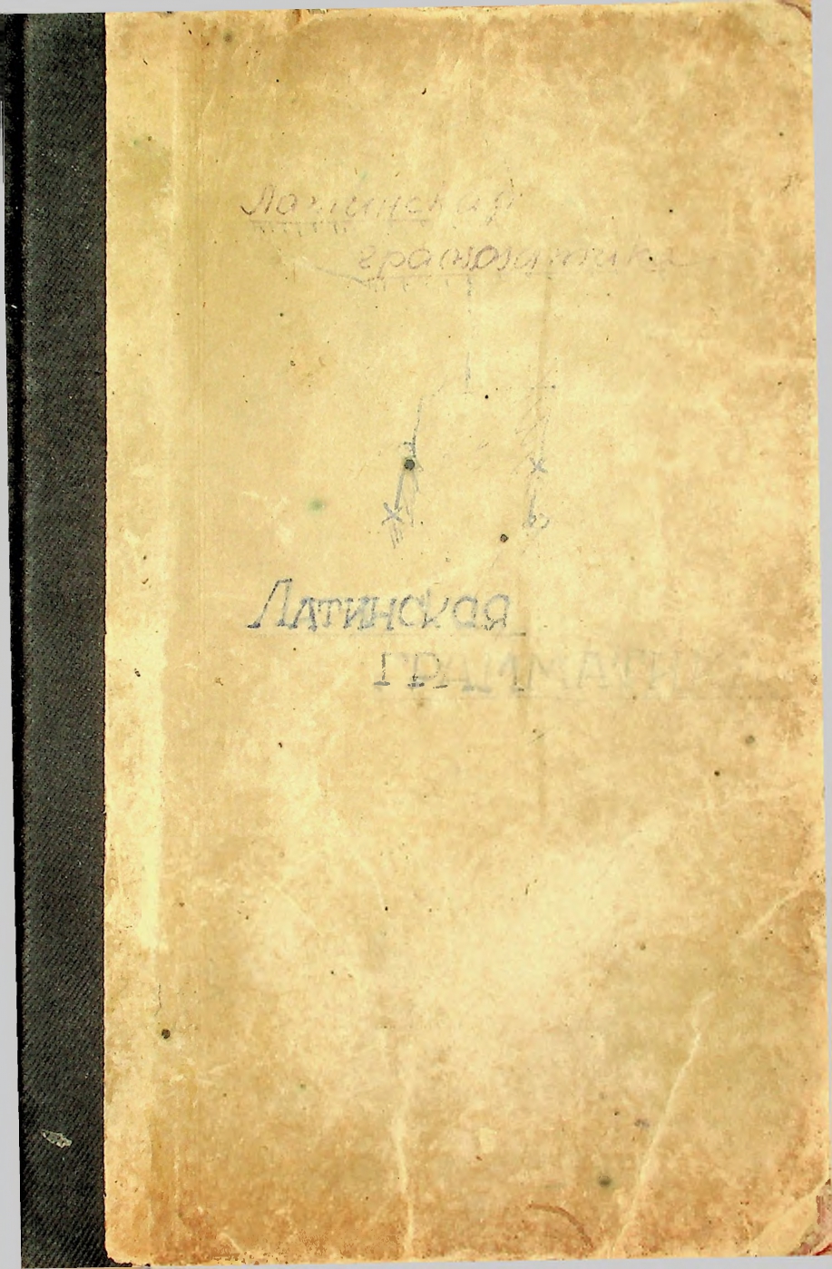 Латинская грамматика по Штегману