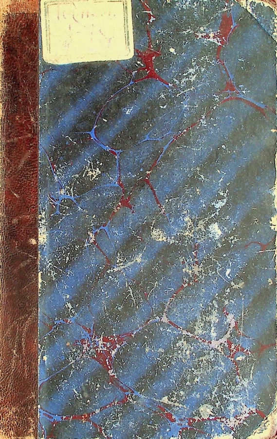 Friedrich Spielhagens sämmtliche Romane: Sturmflut IІ